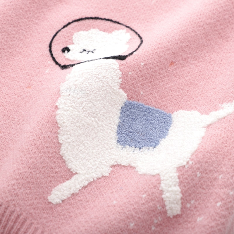 'Space Llama' Jumper